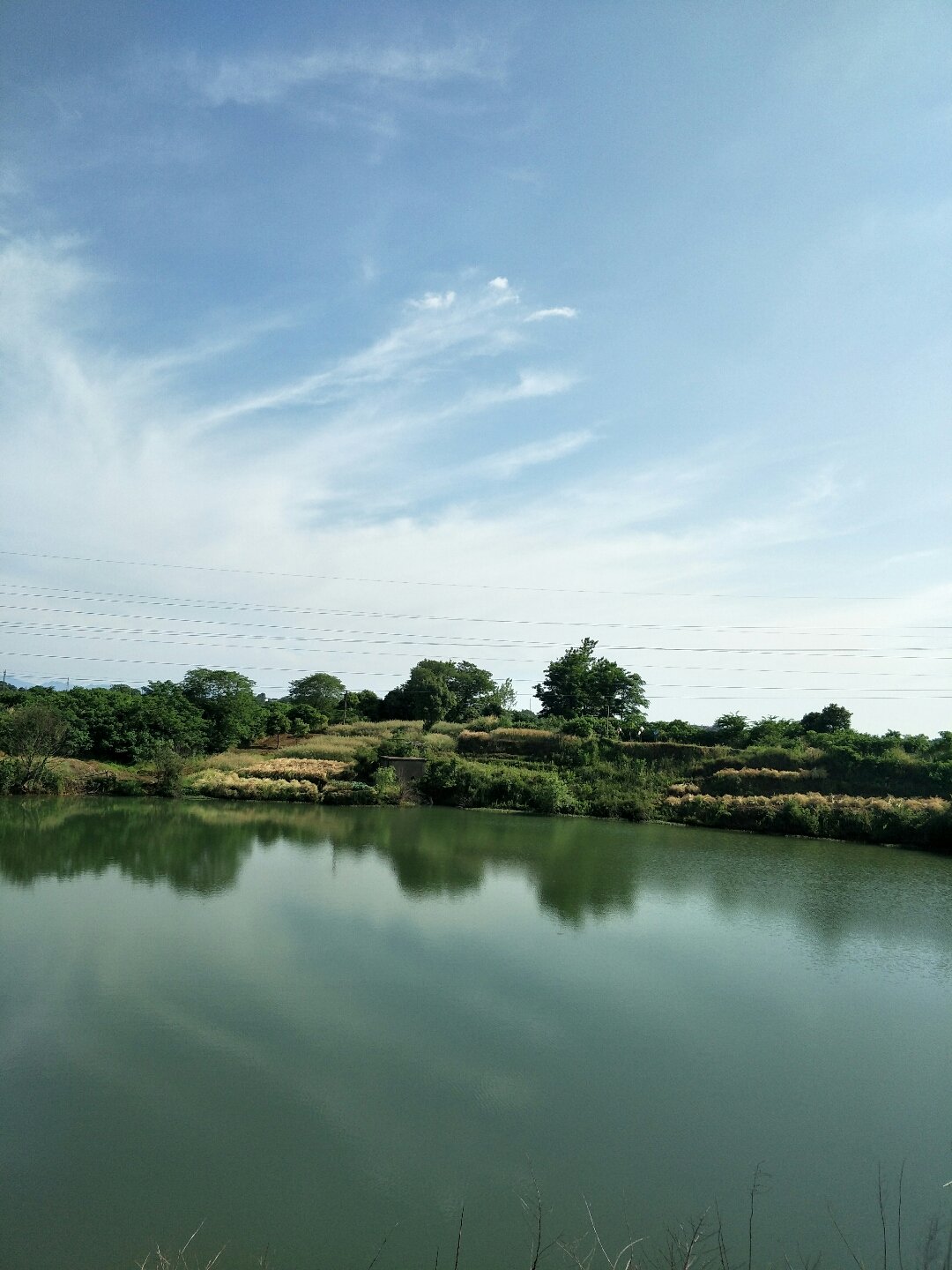 陳瑤湖鎮(zhèn)最新天氣預(yù)報更新通知