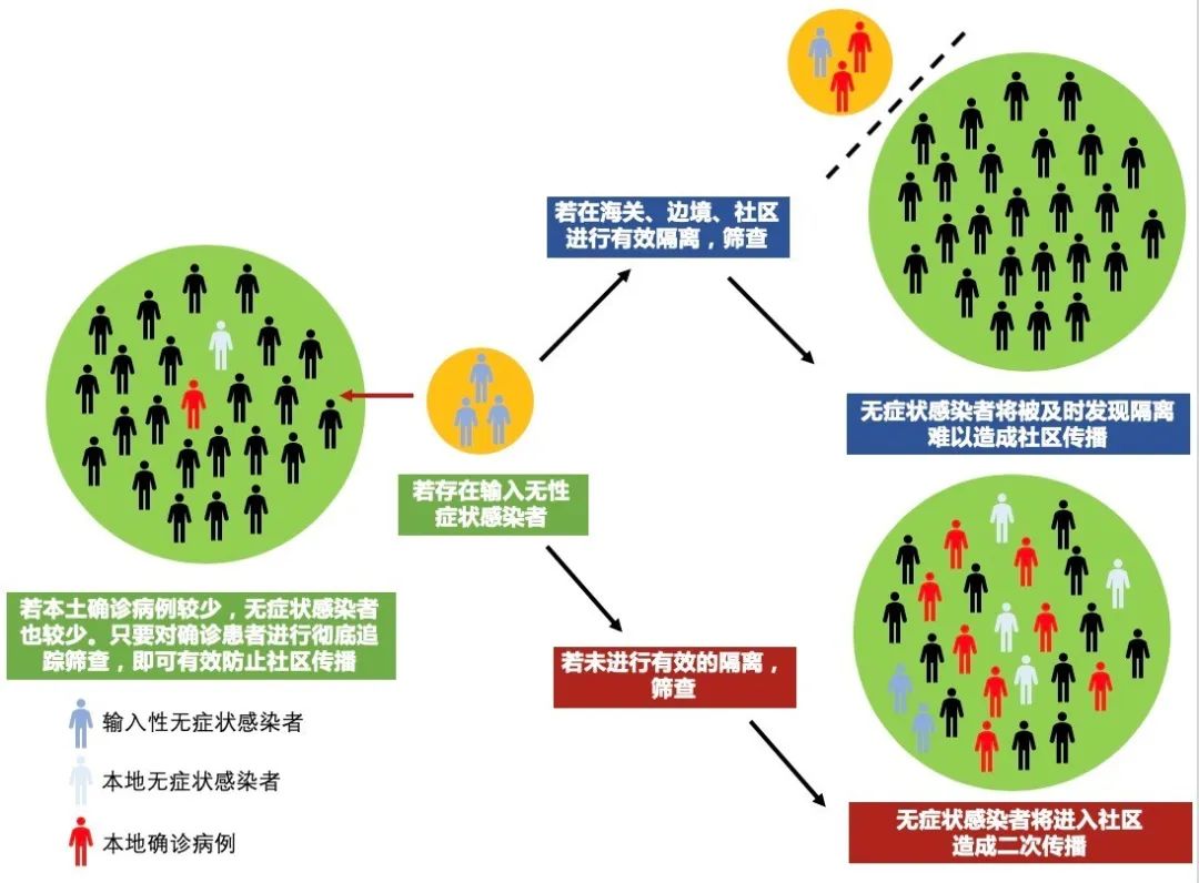 疫情最新原因深度探究與分析